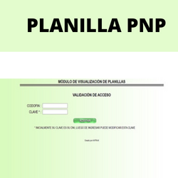 planilla virtual PNP