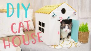 ¿Cómo hacer una casita segura para gatitos?