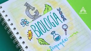 Cuáles son las mejores ideas para portadas de biología en cuadernos y libretas?
