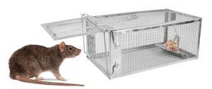 Cuál es el mecanismo de funcionamiento de las trampas para ratones?