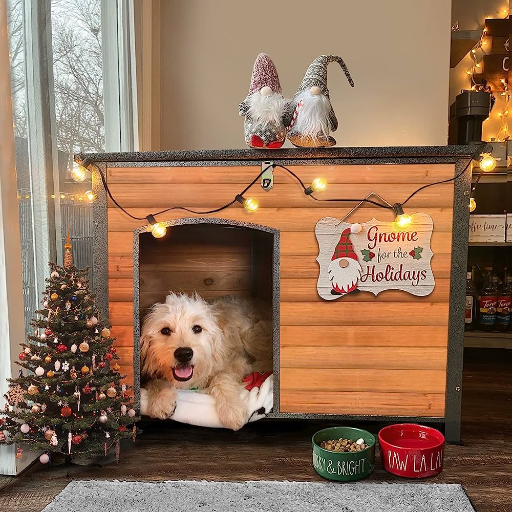 Ideas creativas para adornar la caseta de tu perro en Navidad